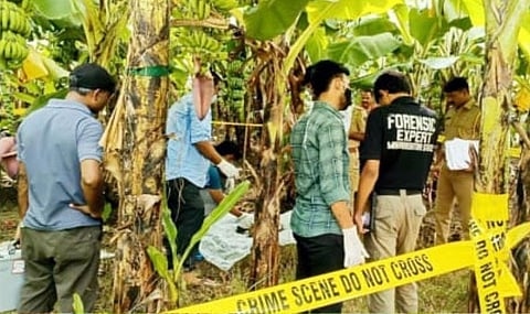Woman's skeleton found |