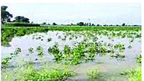 image of nanded damaged area 