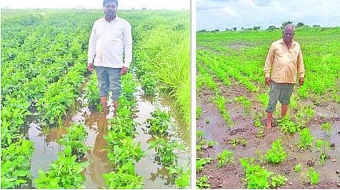 image of farmers 