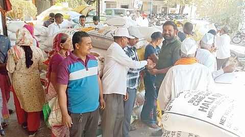 Jowar Price