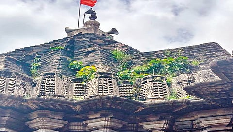 trees-growing-on-kopeshwar-temple-shikhar