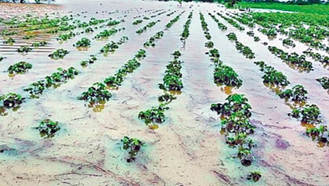 farmers relief fund