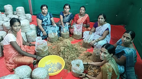 Self-help groups mushroom farming