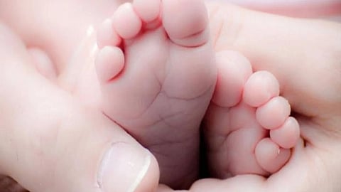 Pregnant woman assault case 