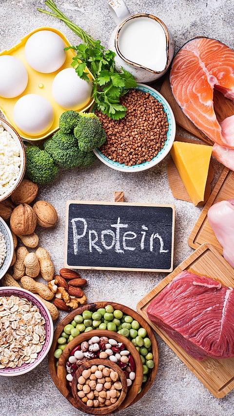 Protein Diet Tips : बालकांपासून वृद्धांपर्यंत सर्वांसाठी प्रोटीन आवश्यक, आहारात कसे वाढवाल?