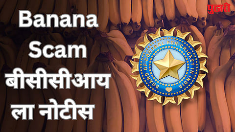 Banana Scam BCCI Notice 
