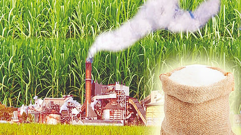 sugar-industry-faces-financial-crisis-due-to-low-income-high-expense