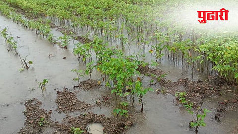 Parbhani rain: