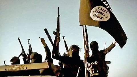 ISIS Module India 