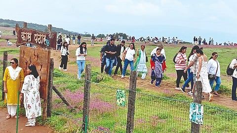 Kaas plateau |
