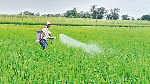 Satara News |