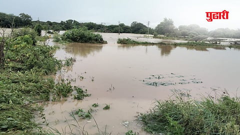 Beed rain news