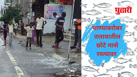 Hingoli Heavy Rainfall |