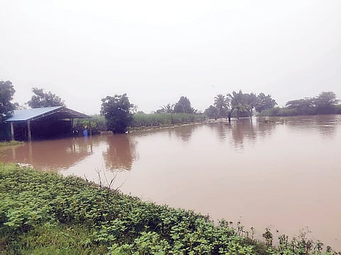 Ahilyanagar Rain