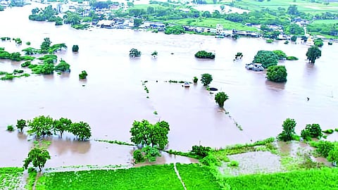 Marathwada Rain