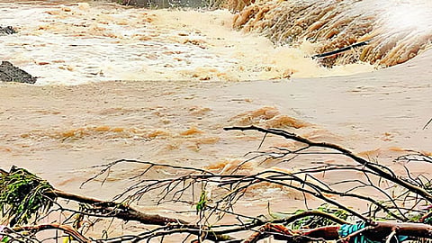 Beed rain news