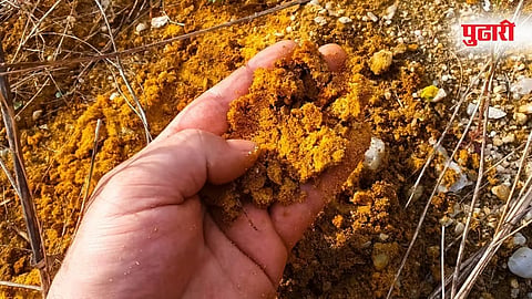 First Private Gold Mine 