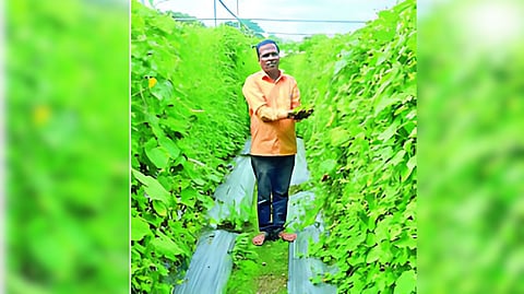 Agriculture News