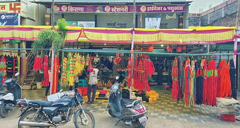 भाद्रपदी बैलपोळ्याची बळीराजाला उत्सुकता; रंगबिरंगी साहित्यांनी सजली बाजारपेठ 