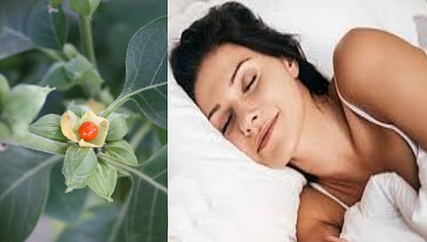 ashwagandha-benefits-for-sleep