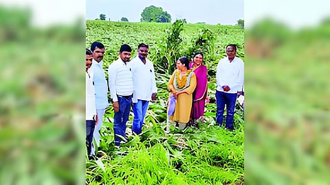 Agricultural loss 