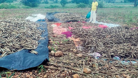 Farmers Crop Damage