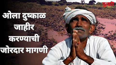 Marathwada Rain Wet Drought 