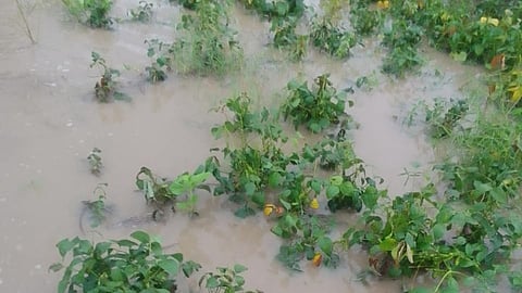 Kalmanuri cloudburst   