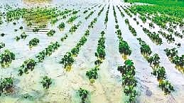Drought news
