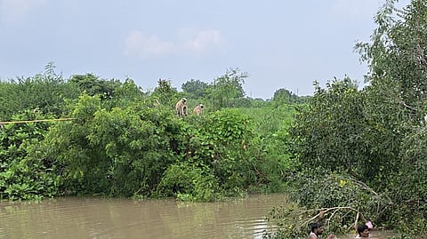 Mamdapur 22 monkeys rescued 