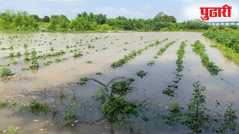 Marathwada Floods 