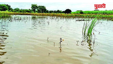 मूळज शिवारातील शेतीला तलावाचे स्वरूप प्राप्त झाले आहे.