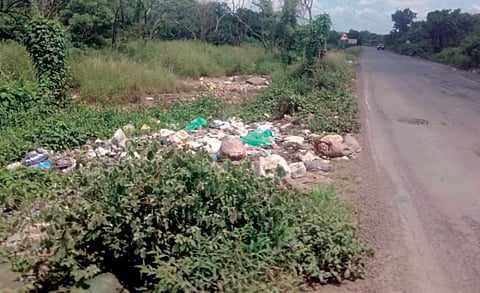 Rotai lake garbage issue