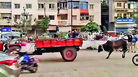 Sambhajinagar Crime