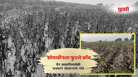 Nanded flood