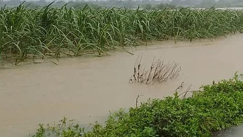 Jalkot rainfall crisis