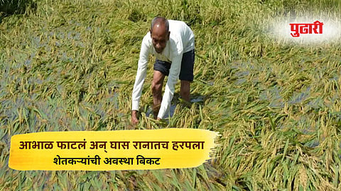 Nanded rain news