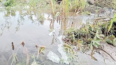 मालेगाव (नाशिक)
