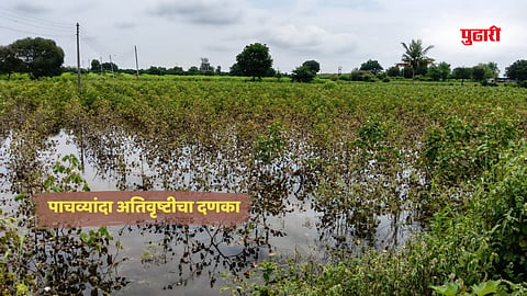 Marathwada rain news