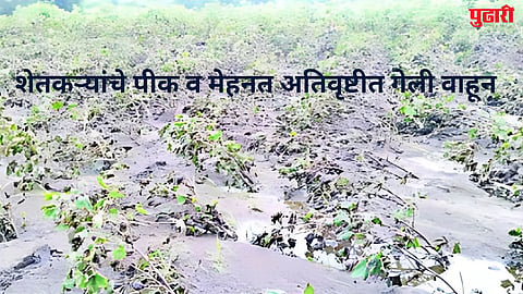 Jalna Heavy Rain
