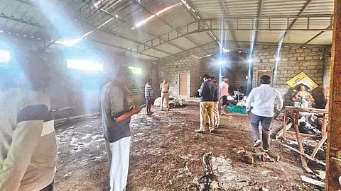 Sangli crime News