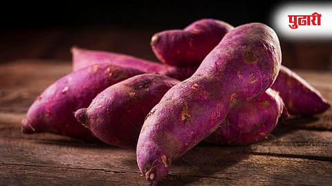 Sweet Potato Benefits 