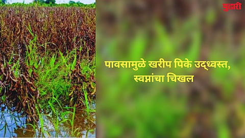 Jalna Heavy Rain
