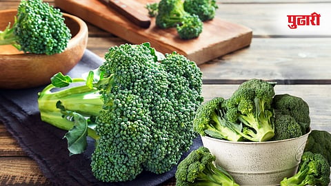 Broccoli Benefits