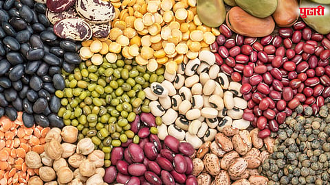 डाळी स्वस्त, पण साखर-गूळ महाग; अन्नधान्य बाजारात संमिश्र चित्र