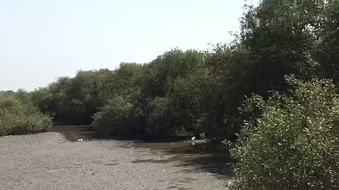 रेवदंडा (रायगड)