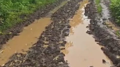 MGNREGA project issues
