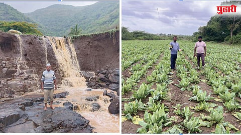 Ambegaon Shirur Crop Damage