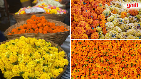 Flower Price Rise