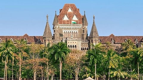 High Court petitioner observations